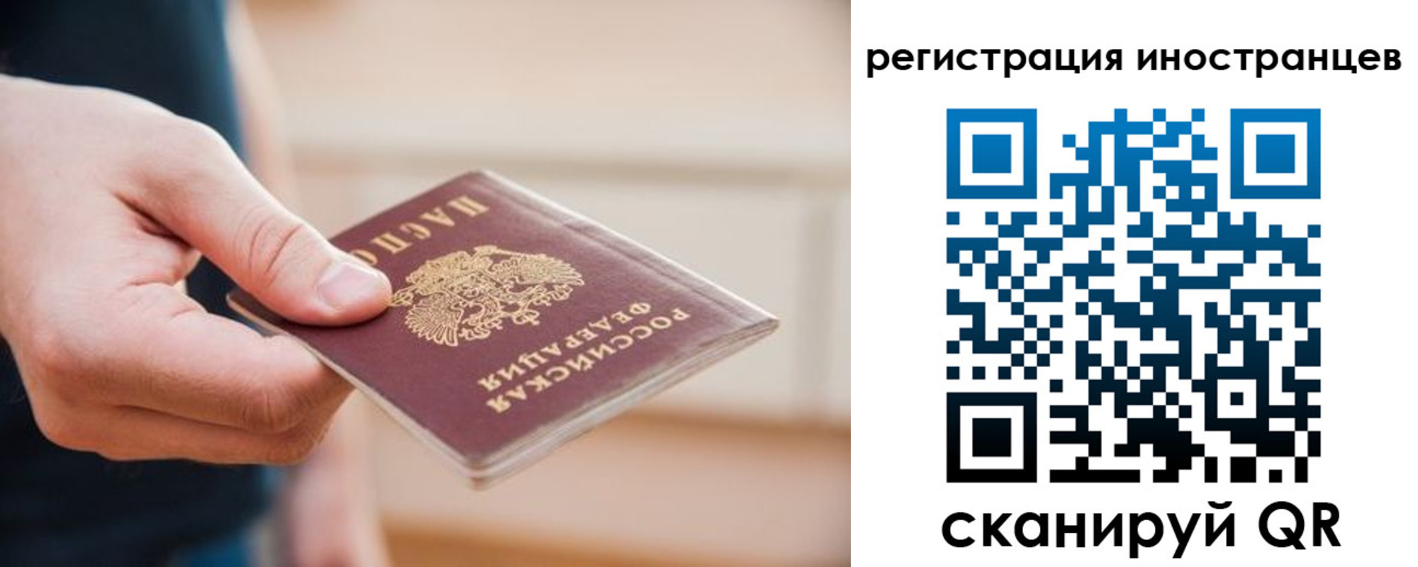 прописка гарантия в Венёве